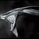 Illustration for article titled Pandoras Creatures Were Partly Based On Cars